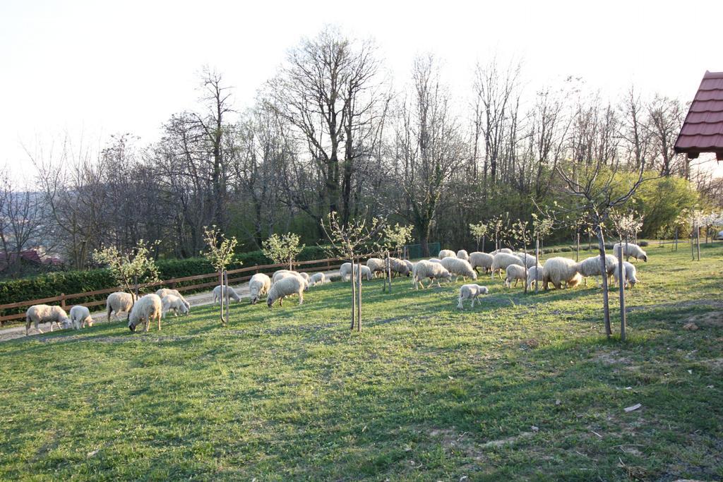 Grebengradska Medna Hiza Vendégház Donje Makojisce Kültér fotó