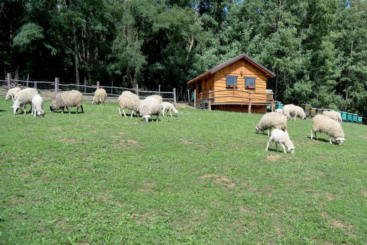 Grebengradska Medna Hiza Vendégház Donje Makojisce Kültér fotó